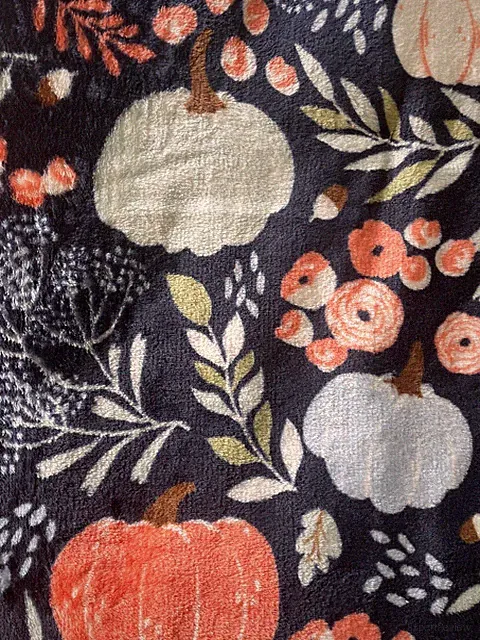Celebrate Fall Velvety Plush Harvest Gourds & Pumpkins Navy Throw Blanket, 50x60
