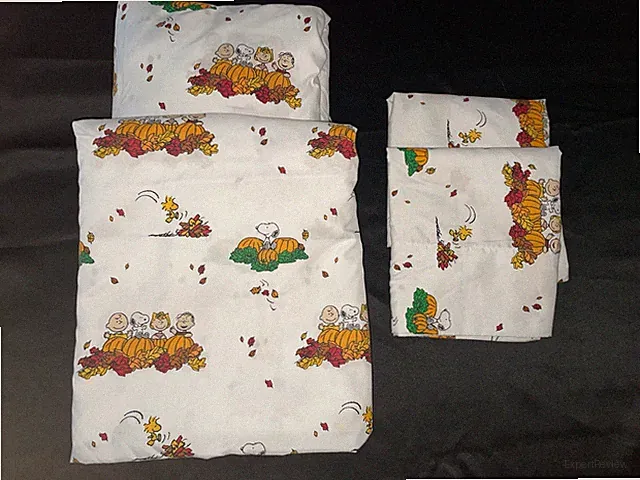 Peanuts and Friends Fall Themed Pumpkin Full Flat Fitted Sheet Set 2 Pillowcases
